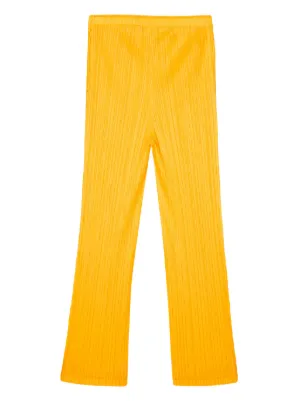 Pleats Please by Issey Miyake（プリーツ・プリーズ・イッセイ
