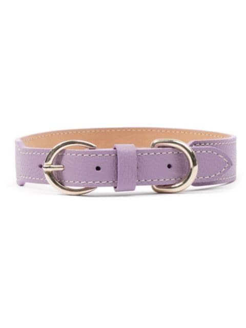 Sporty & Rich double-buckled leather dog collar