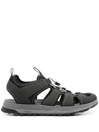 Clarks