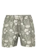 Sunspel leaf-print swim shorts - Green