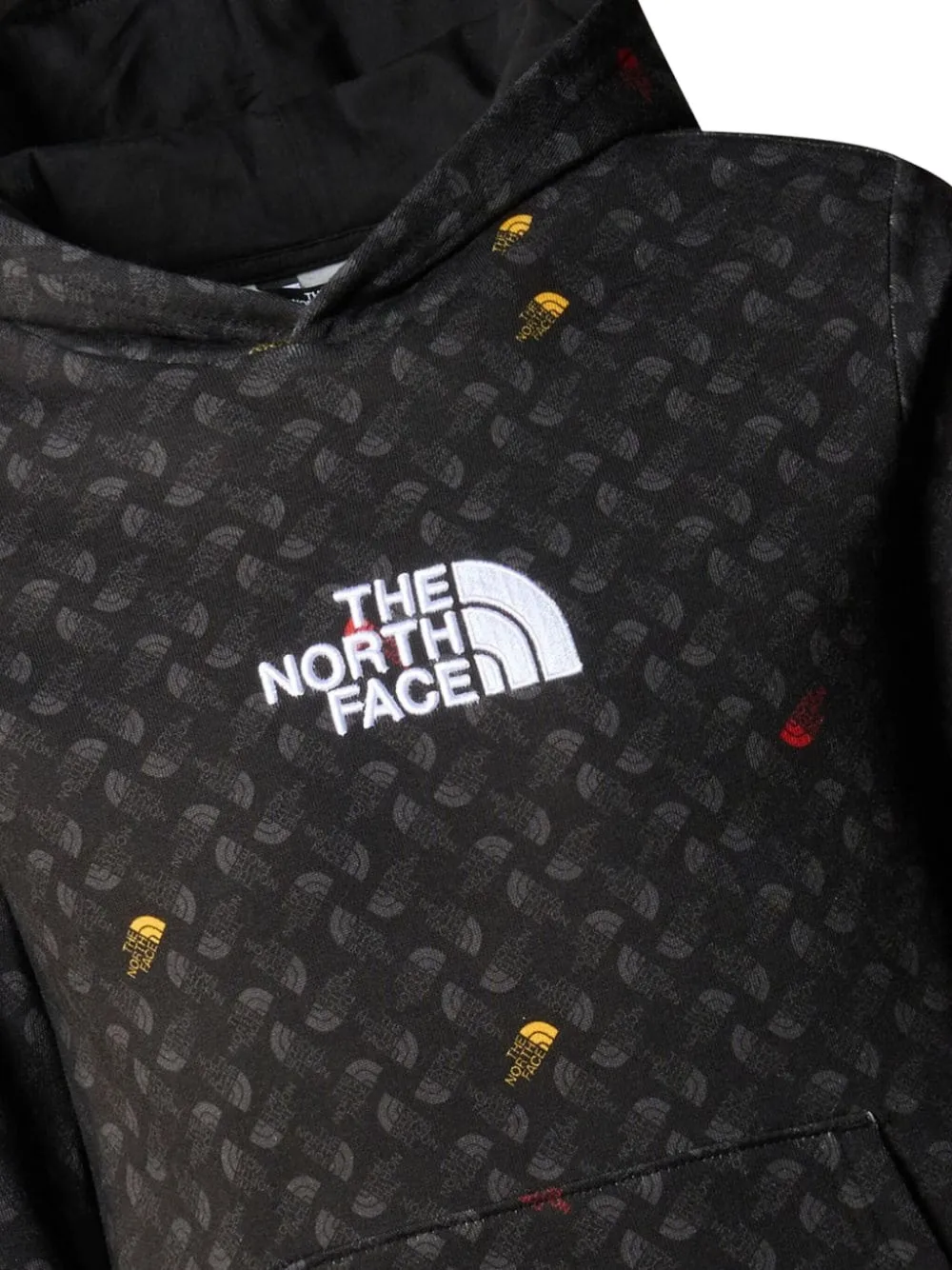The North Face Kids Drew Peak hoodie Zwart