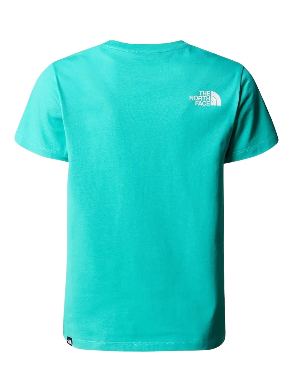 The North Face Kids T-shirt met logo Groen
