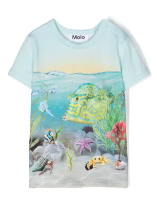 Molo
