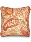 ETRO paisley-print cushion (60cm x 60cm) - Neutrals