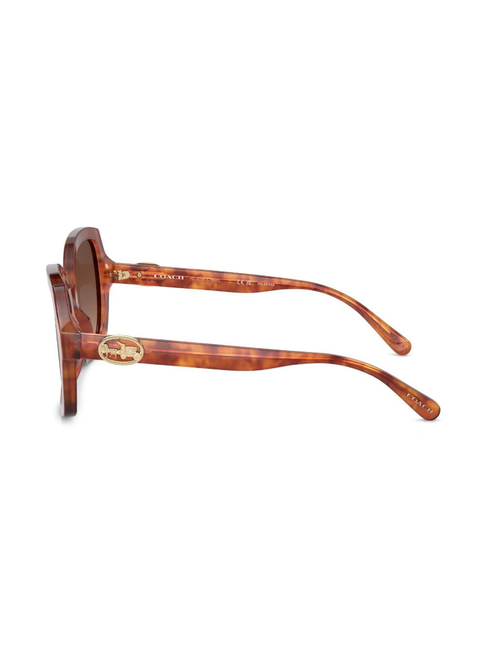 Shop Coach Tortoiseshell-effect Butterfly-frame Sunglasses In Brown