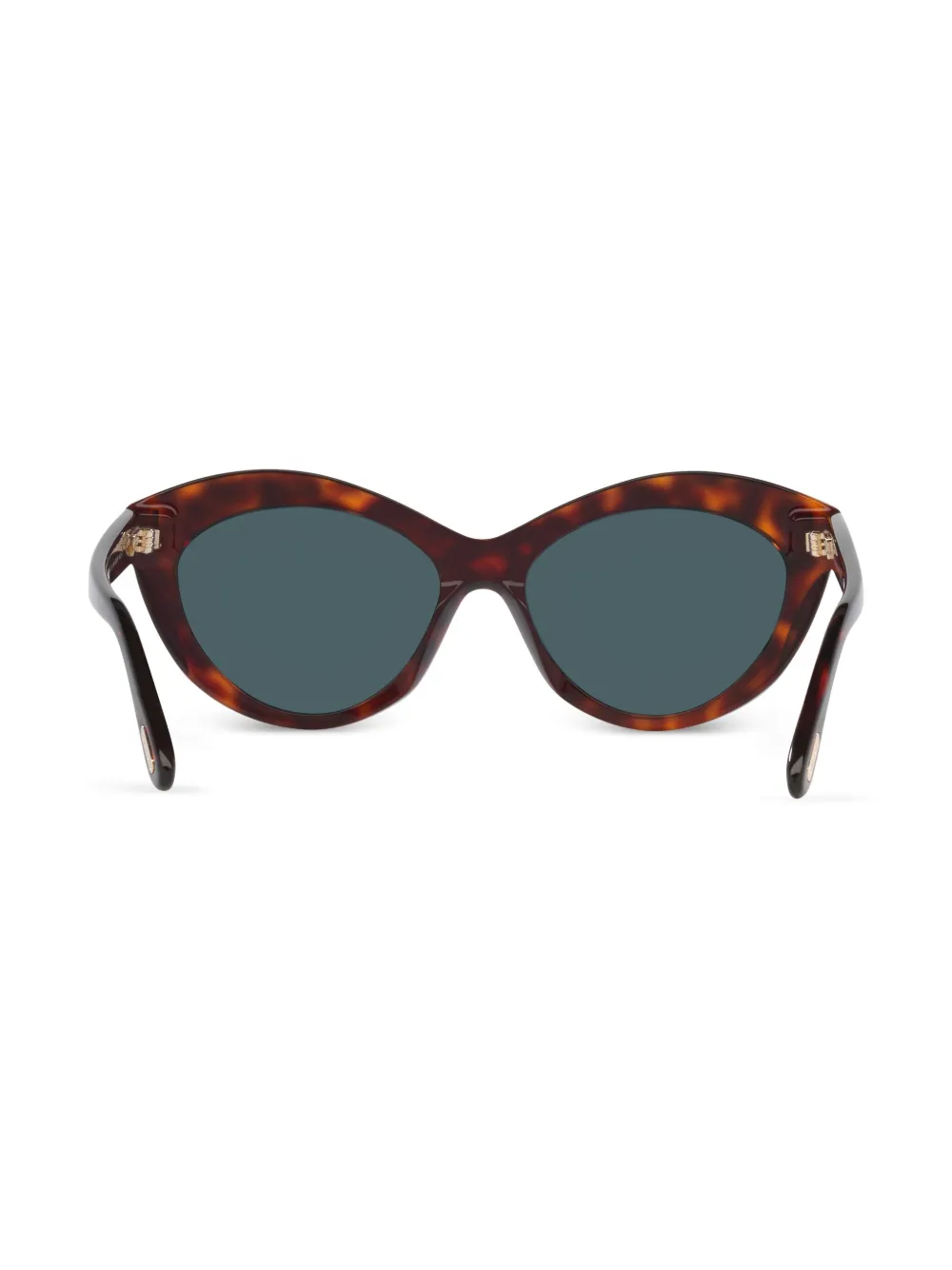 TOM FORD Eyewear Toni zonnebril Bruin