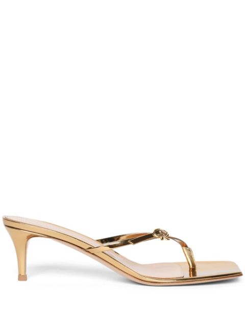 Gianvito Rossi Ribon 55mm mules Women