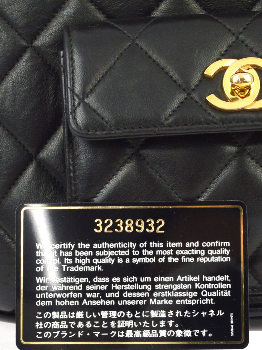 CHANEL 1995 large Duma backpack Women