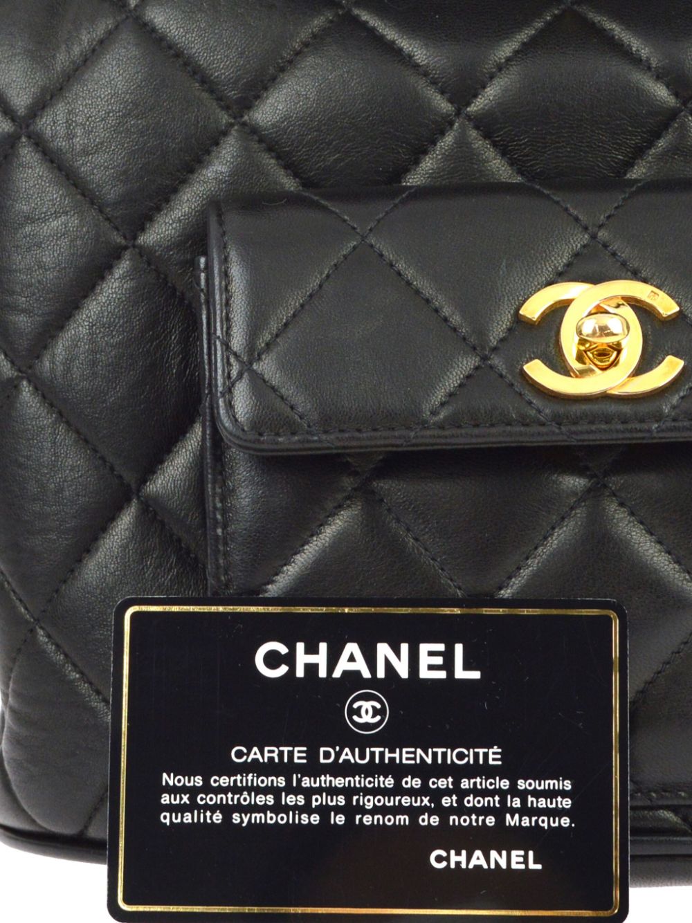 CHANEL 1995 large Duma backpack Women