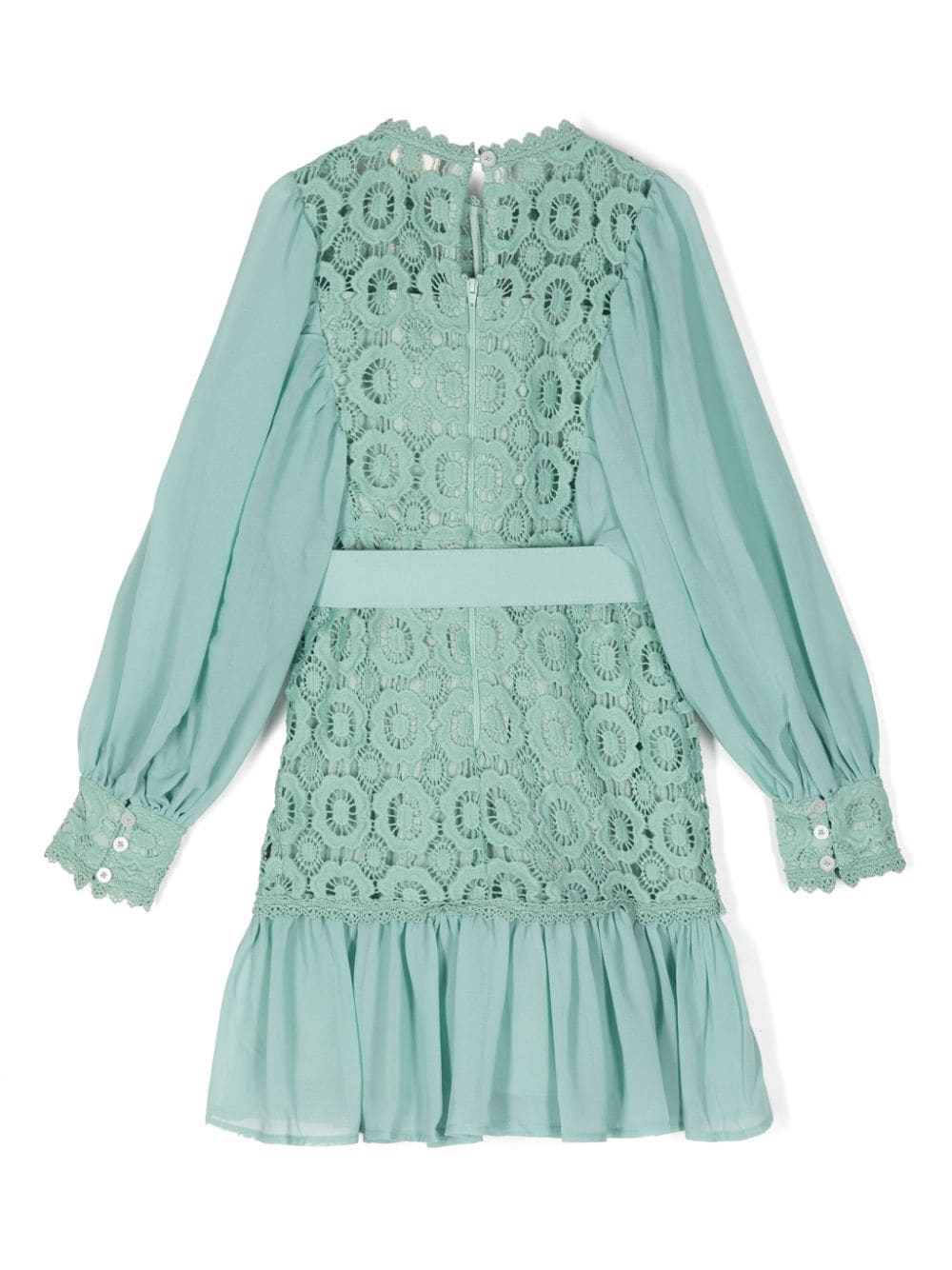 Shop Marlo Adelaide Lace Dress In Green