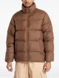 Carhartt WIP Springfield jacket - Brown