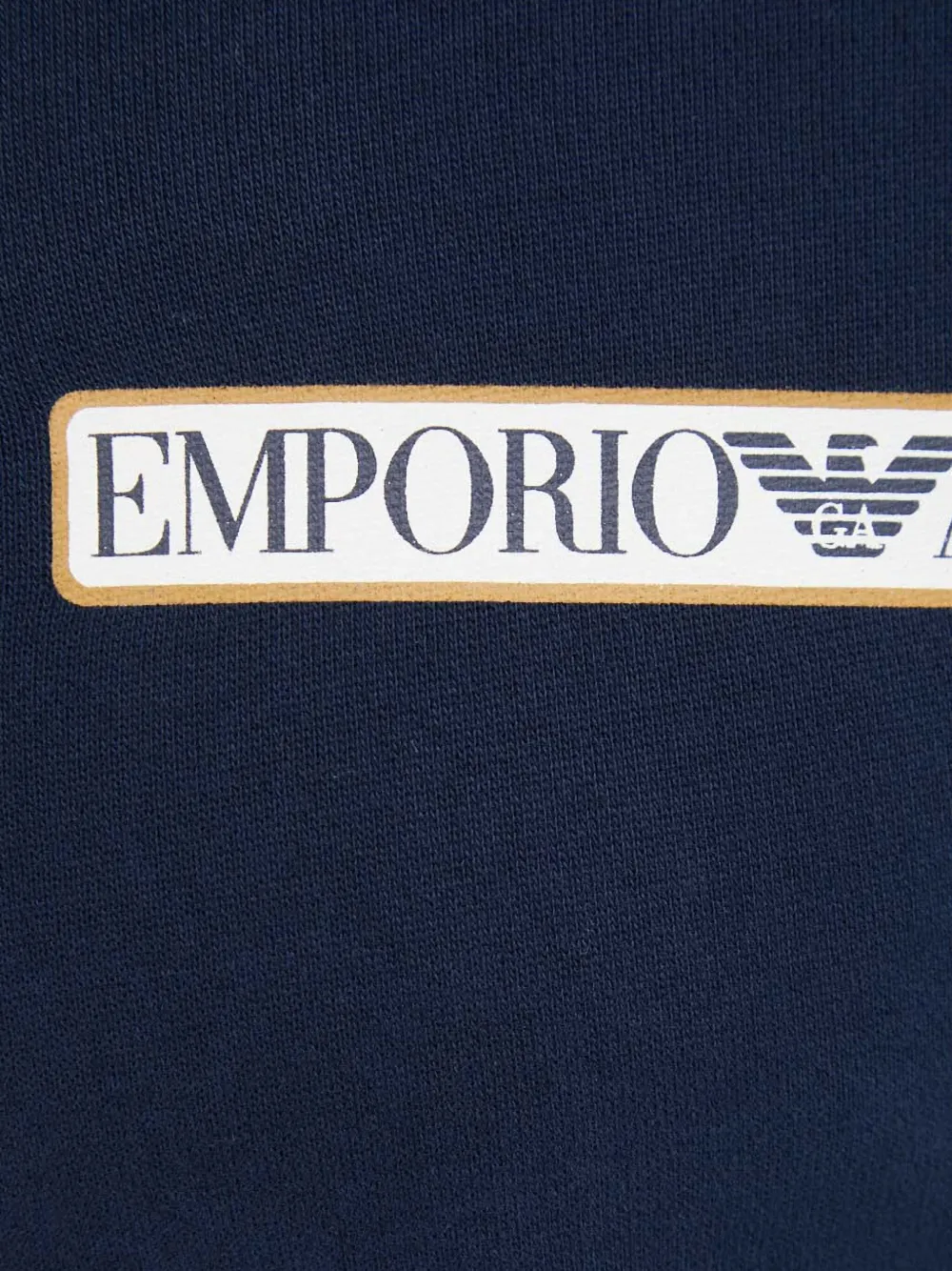 Emporio Armani Zip Hooded Sweatshirt In Blue