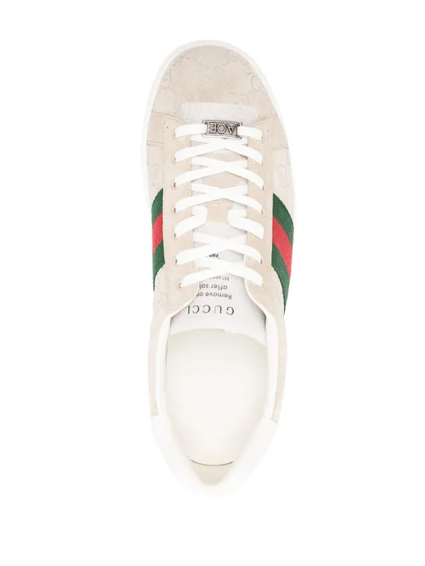 Gucci ace web trainers deals