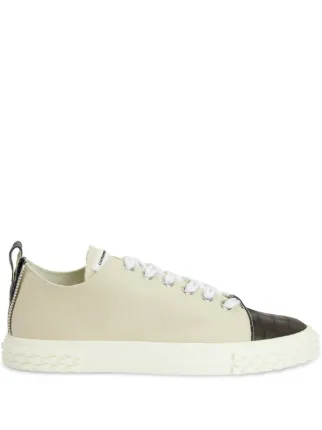 Giuseppe Zanotti