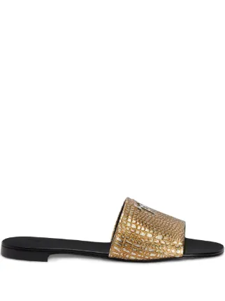 Giuseppe Zanotti