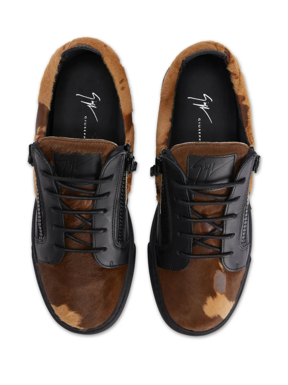 Giuseppe Zanotti Frankie sneakers Brown