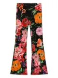 Dolce & Gabbana Kids floral-print flared pants - Black
