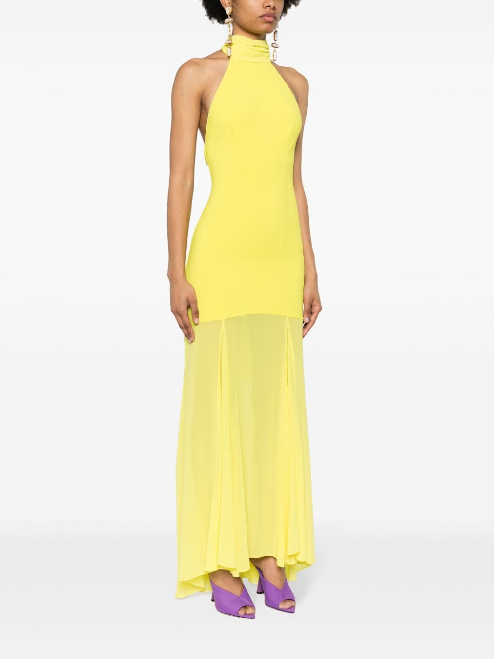 Shop Elisabetta Franchi Halterneck Maxi Dress In Yellow