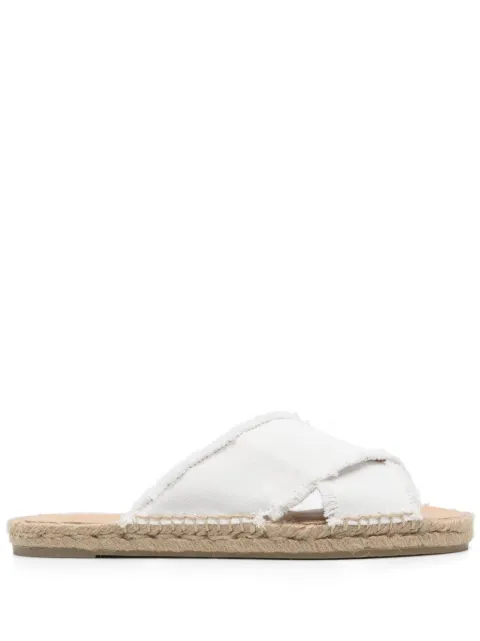 Castañer Palmera canvas espadrilles