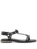 Ash stud-embellished leather sandals - Black