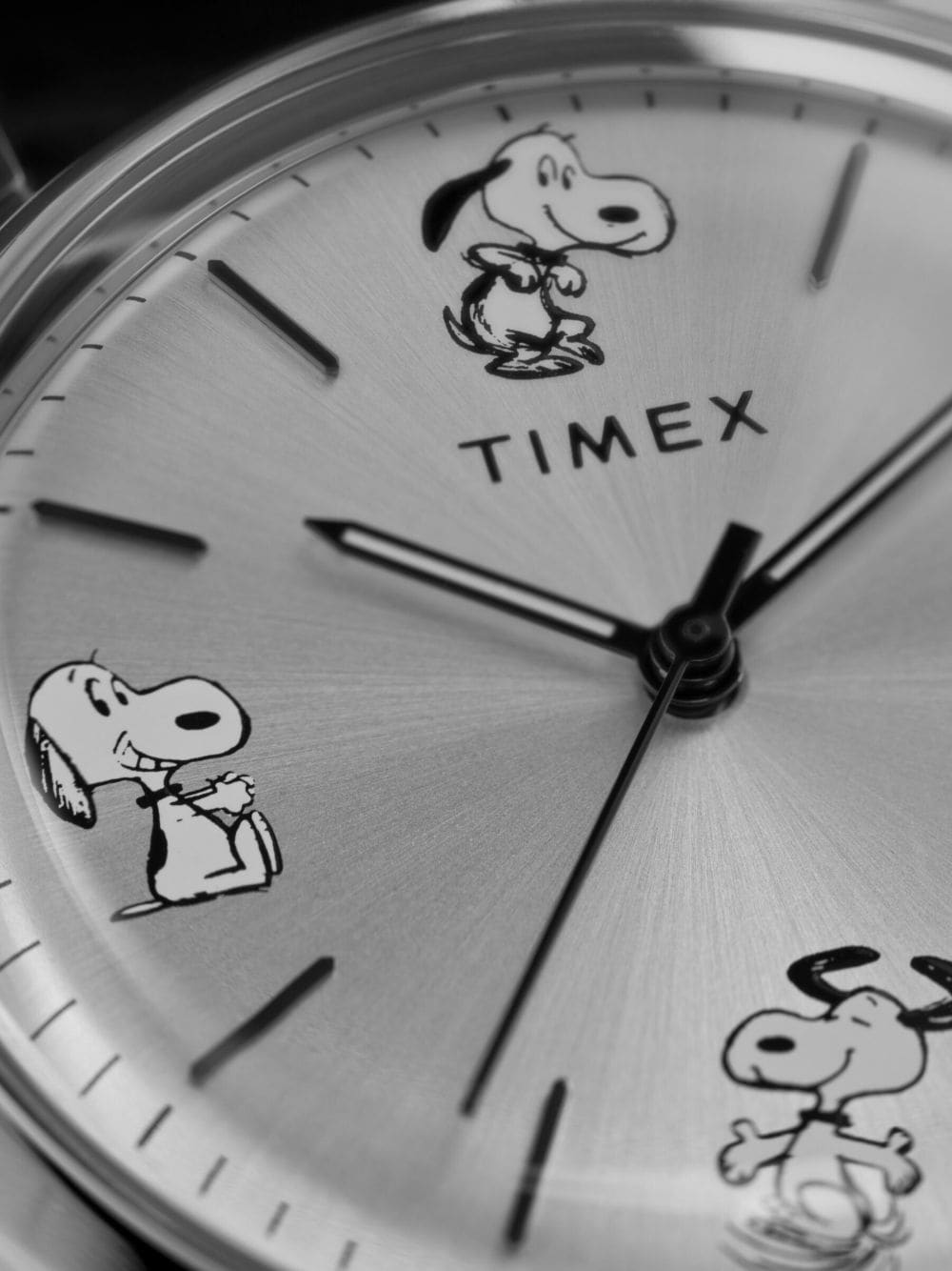 TIMEX x Peanuts Marlin 40 mm horloge - Zilver