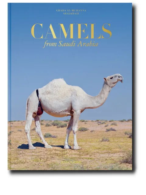 Assouline Camels from Saudi Arabia