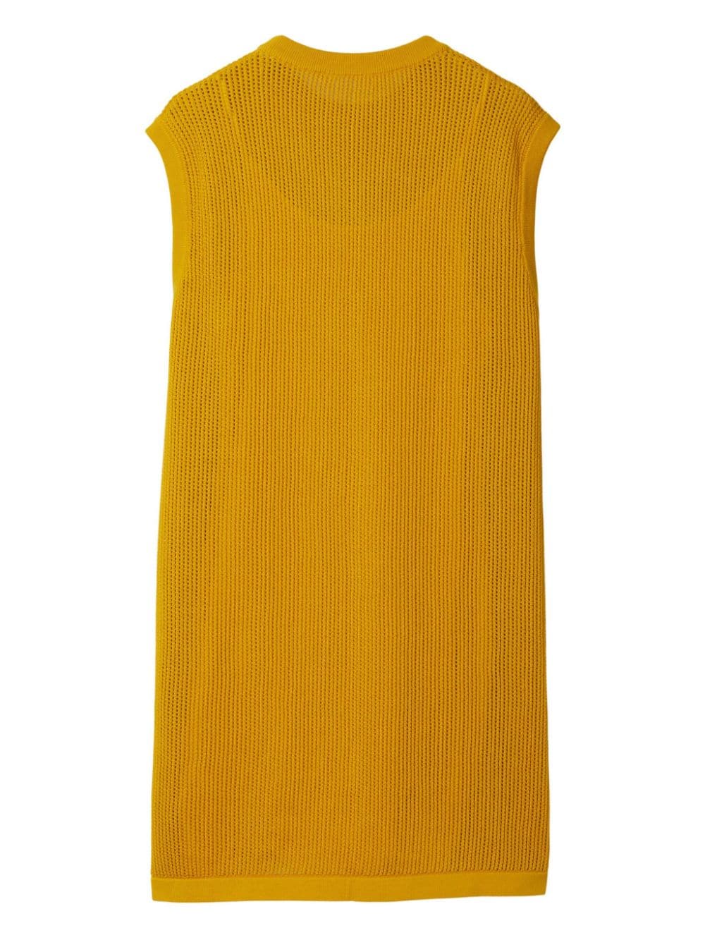 Shop Burberry Ekd-embroidered Mesh Dress In Yellow