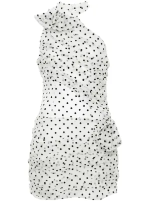 Polka-dot Organza Mini Dress