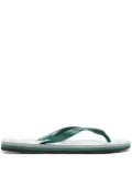 Maison Kitsuné x Havaianas Hawaiian flip flops - Green