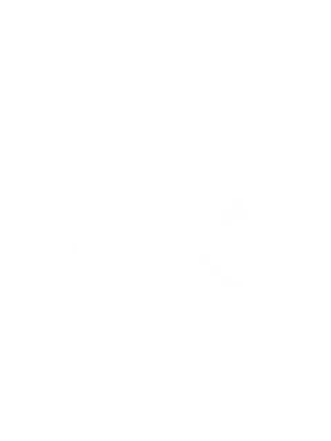 VEERT Pearl Drop necklace