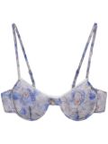 Prada floral-print lace-trim bra - Blue