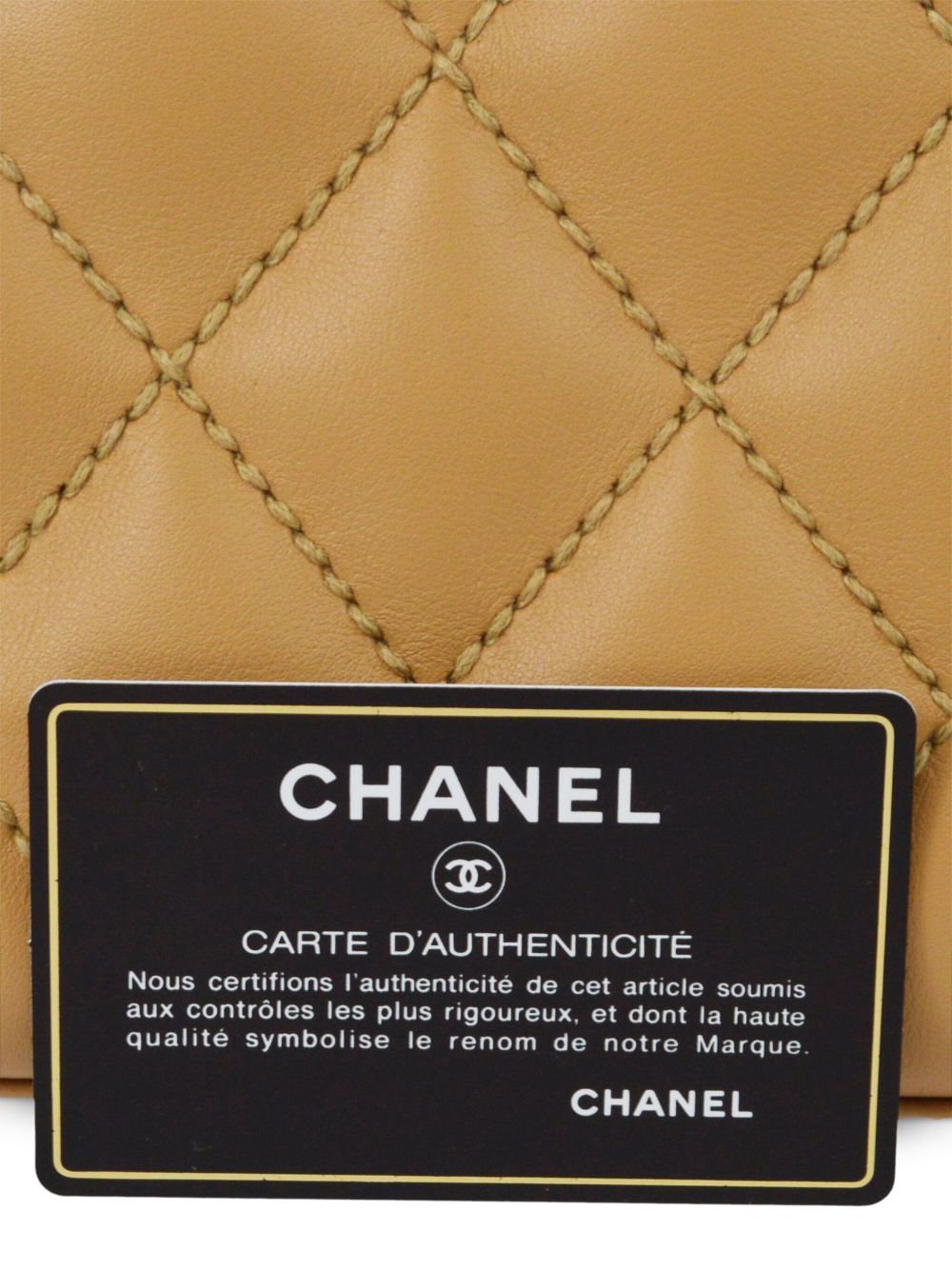 CHANEL 2003 Wild Stitch CC plaque tote bag Women