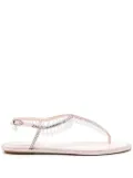 René Caovilla Chandelier sandals - Pink