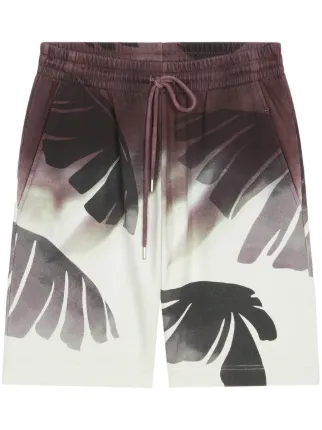 DRIES VAN NOTEN