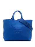 Prada Pre-Owned 2013-2023 Medium Canvas Logo Drill satchel - Blue