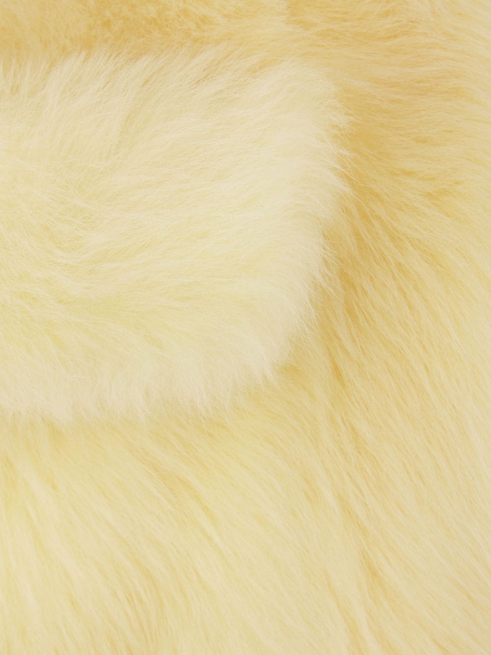 Shop Bottega Veneta Toscana Shearling Jacket In Yellow