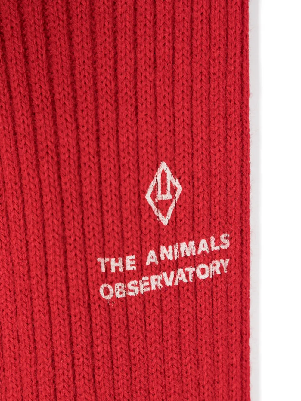 The Animals Observatory Crow Knitted Leggings In Red
