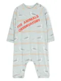 The Animals Observatory Owl seagulls-print shorties - Blue