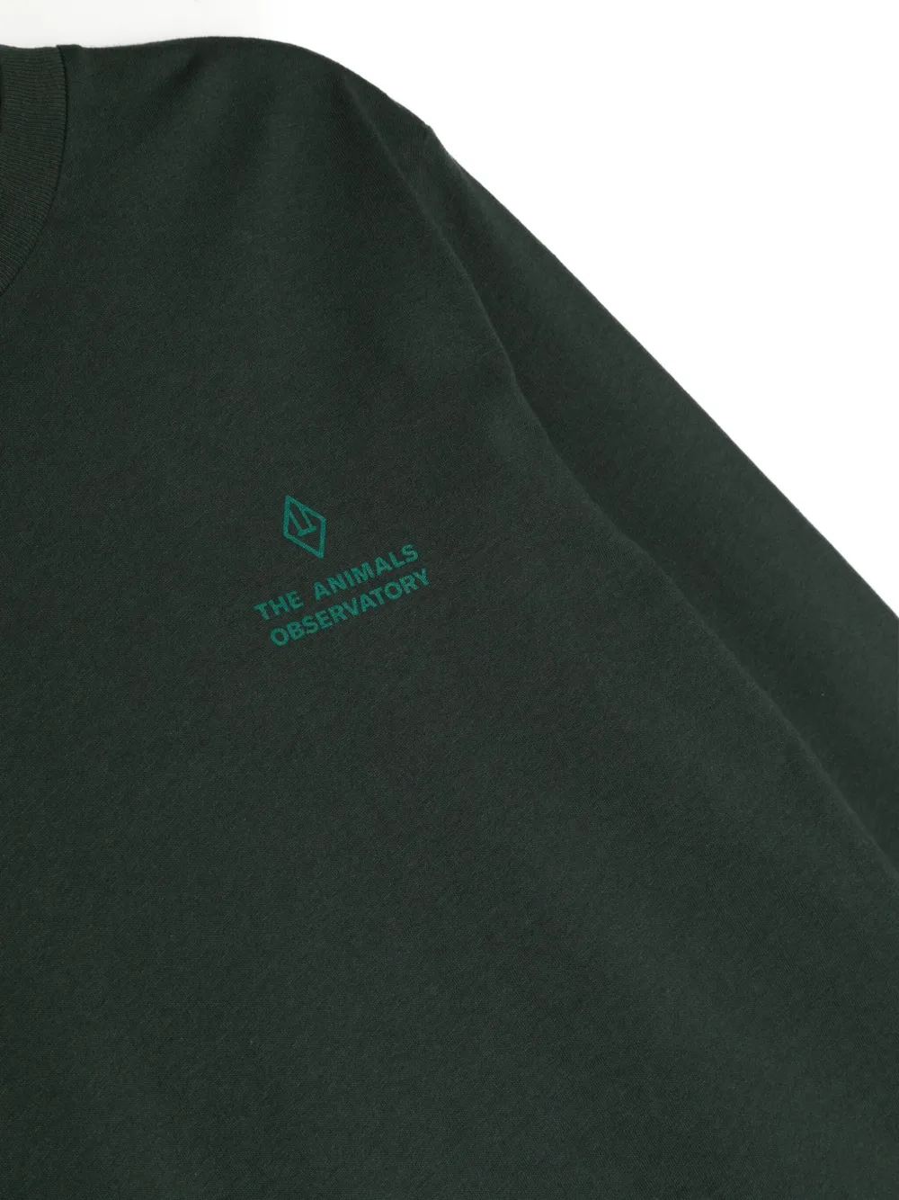 The Animals Observatory Arie Long-sleeve T-shirt In Green