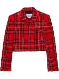 MSGM check tweed jacket - Red
