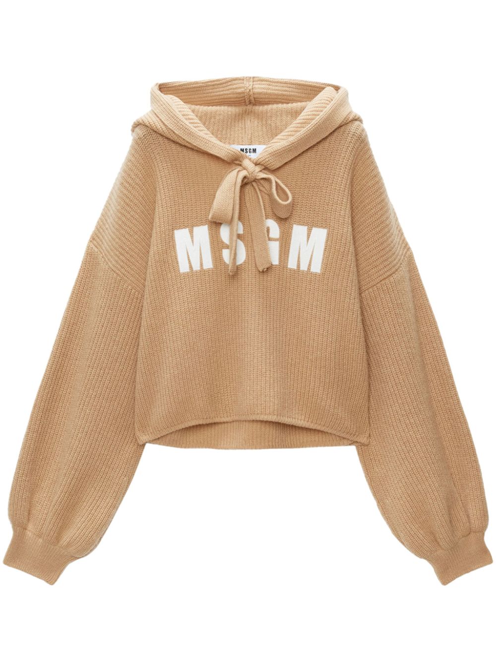 Msgm Logo-embroidered Hooded Jumper In Brown