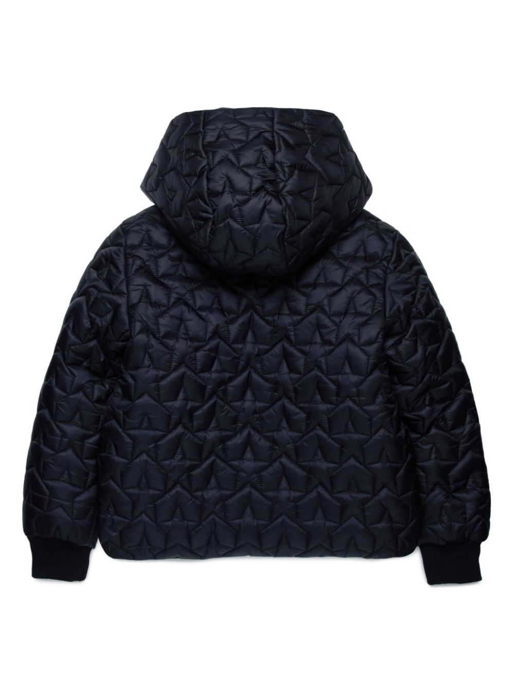 Marni Kids Gewatteerd donsjack - Zwart