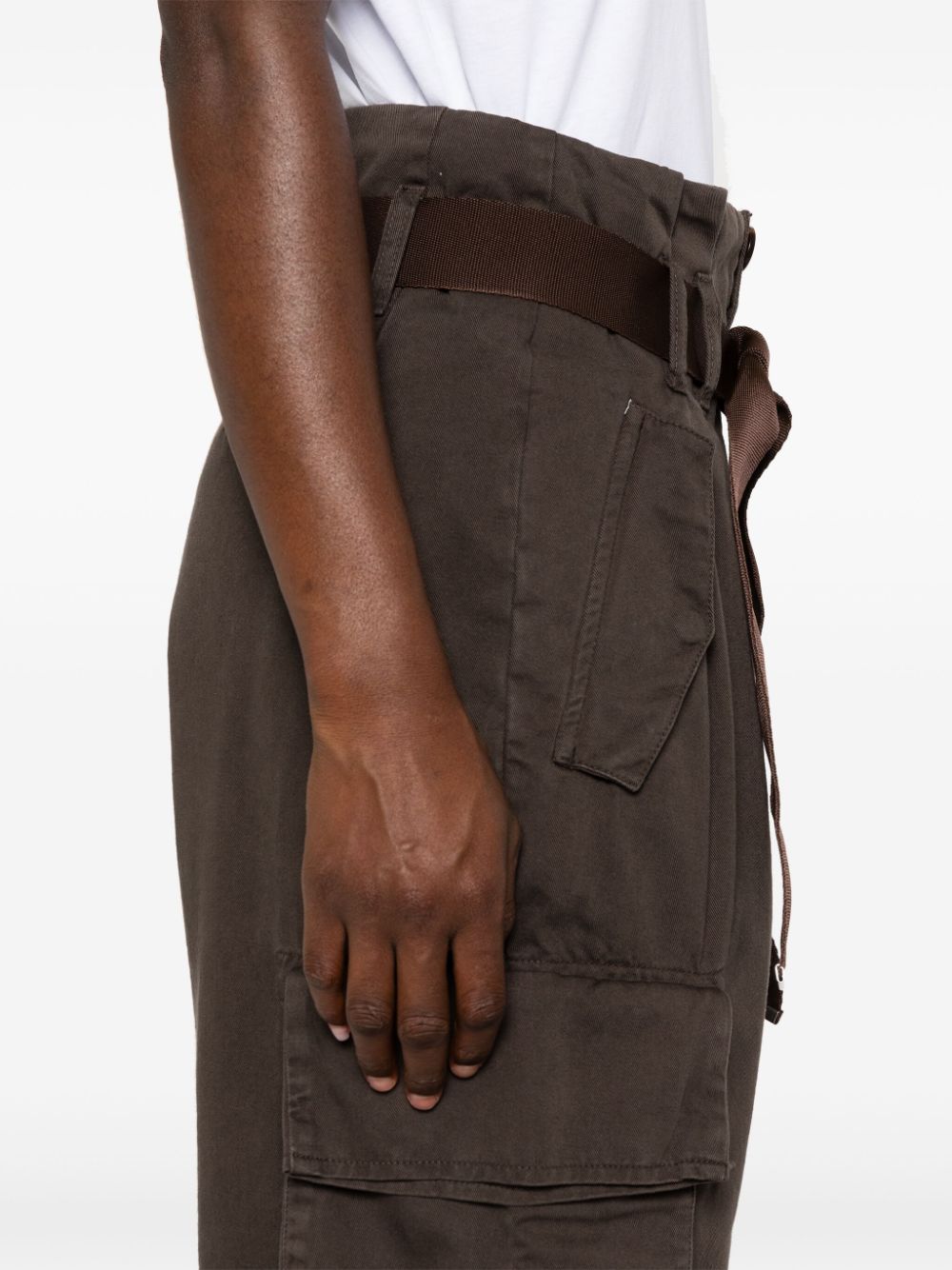 Shop Pinko Ronfare Cargo Pants In Brown