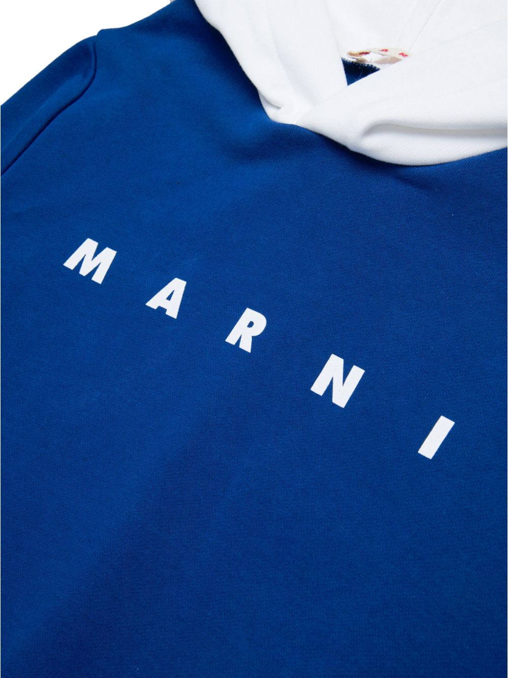 Shop Marni Logo-print Cotton Hoodie In Blue