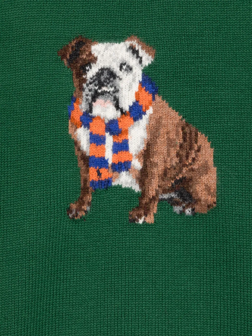 POLO RALPH LAUREN KIDS Trui met hond intarsia Groen
