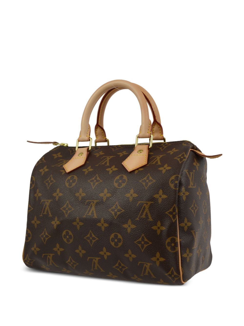 Louis Vuitton Pre-Owned 2009 Speedy 25 handtas - Bruin