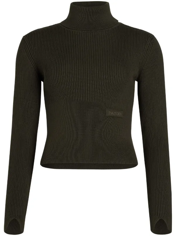 Patou Ribbed Roll-neck Sweater in Green