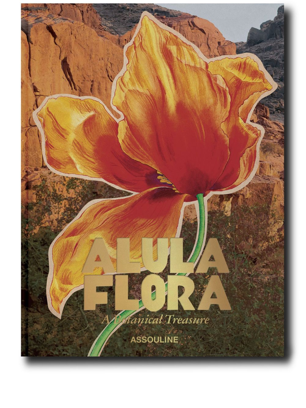 Assouline Alula Flora Book In Orange
