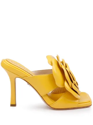 Dee Ocleppo