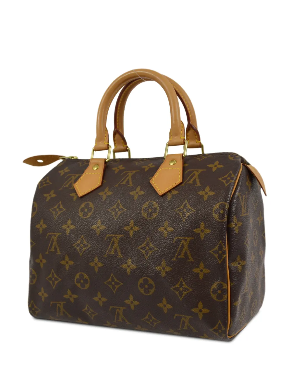 Louis Vuitton Pre-Owned 2002 Speedy 25 handbag - Bruin